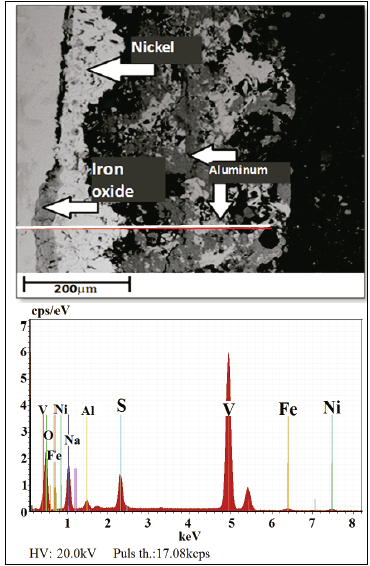 Coated sample cross section SEM/EDS image after 30 h at 500 °C