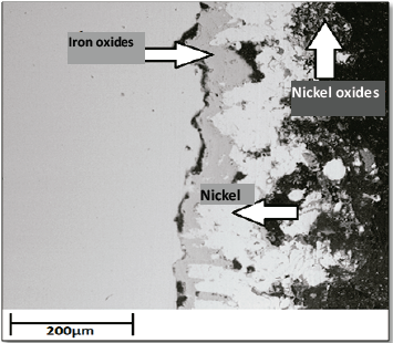 Coated sample cross section after 50 h at 500 °C