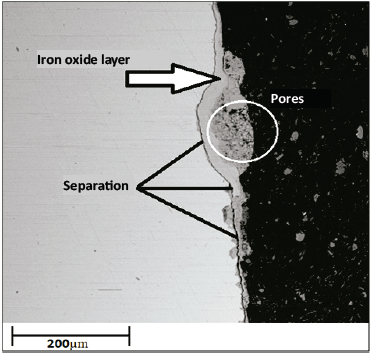 Cross sections of the coated samples after 100 h at 500 °C