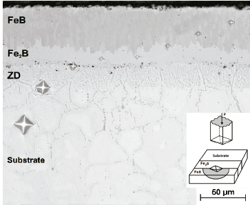 The cross-sectional view of borided AISI 316L alloy exposed to the PPBP at 1273 K for 4 h.