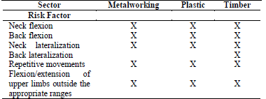 Characterization of risk factors in the companies evaluated.