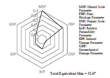 Formation damage percental representation in a spider graph. For the specific case represented by the spider graph, a high percentage of damage by mineral scales is observed approximately 30%, followed by a fines migration damage with 20%, and with a lower degree of condensate damage, induced, Kr and organic.