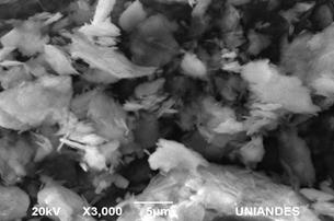 SEM images obtained from A/B 10/90 mixture.