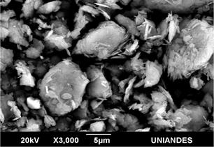 SEM images obtained from A/B 50/50 mixture.