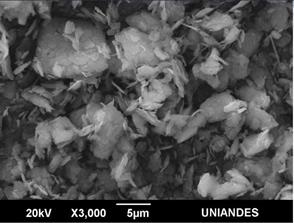 SEM images obtained from A/B 90/10 mixture.