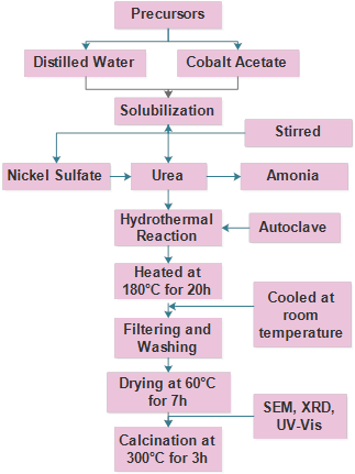 Schematic diagram of the hydrothermal process of Co3-x NixO4 preparation.