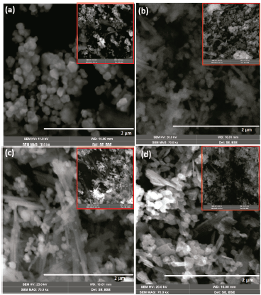 SEM Images (a) Co3O4 (b) Co3O4 -300°C(c) Co3-xNixO4 (d) Co3-xNixO4 -300°C.