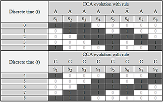 CCA evolution with CSR rules.