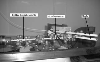 Experimental configuration used to perform the vibration test.
