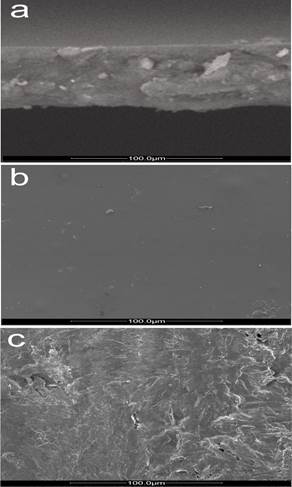 Biogenerated polymers microphohtografs. a: Chitosan; b: PLA; c: TPS.