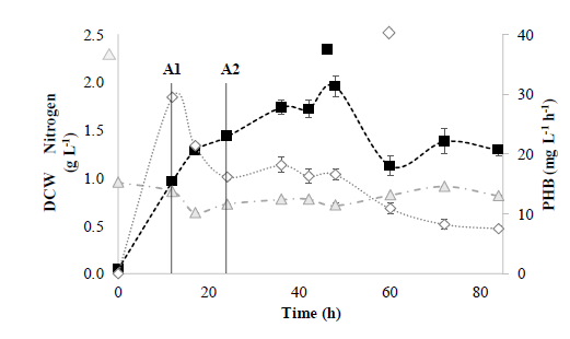 Fed-batch system in a 5 L bioreactor. ( ) PHB Productivity (mg L-1 h-1); ( ) ammonia nitrogen (g L-1); ( ) DCW (g L-1); A1 (12 h) and A2 (24 h) represent glycerol feed times.