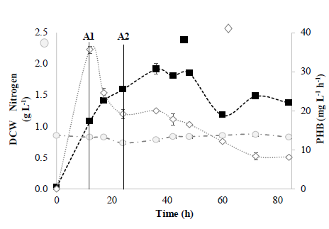 Fed-batch system in a 14 L bioreactor. ( ) PHB Productivity (mg L-1 h-1); ( ) ammonia nitrogen (g L-1). ( ) DCW (g L-1); A1 (12 h) and A2 (24 h) represent glycerol feed times.