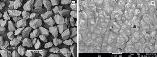 SEM images of the abrasives used in the tests: a) sand and b) cloth.