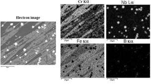 EDS map of different carbides.