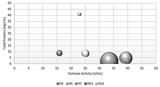 Comparison between total proteins, cutinase activity, and specific activity.