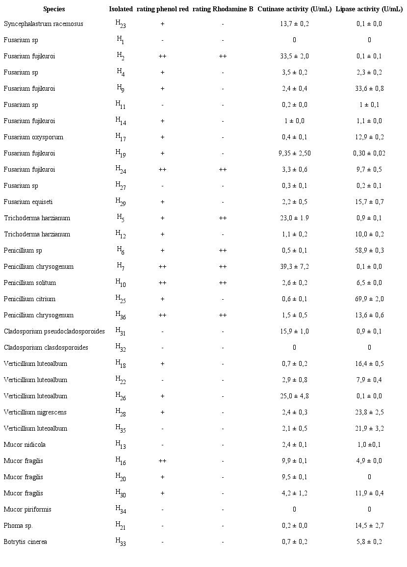 Screening for the Selection of Cutinase Producing Microorganisms