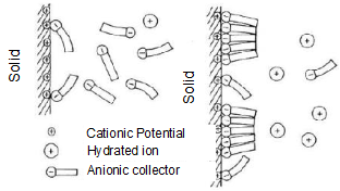 Schematic representation of the electric double layer in the presence of an anionic collector.