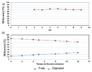 (a) Reverse floating test. (b) Ni Recovery Vs time.