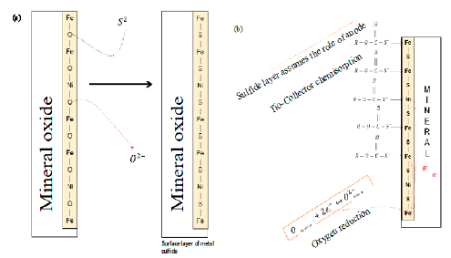 (a) Activation process by means of Na2S in aqueous solution. (b) Tio-collector Adsorption.