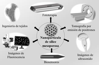 Aplicaciones biom&eacute;dicas de las nanopart&iacute;culas de s&iacute;lice mesoporosa en im&aacute;genes diagn&oacute;sticas, biosensores e ingenier&iacute;a de tejidos.