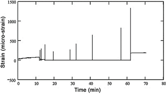 Deformations at point P1 during the dynamic test.