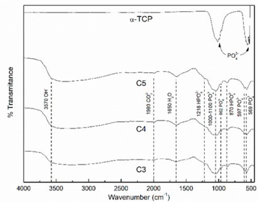 FTIR spectra of α-TCP and 7 days set CPCs at L/P ratios of 0.33 (C3), 0.44 (C4), and 0.55 (C5) ml/g. α-TCP peaks: PO43- (526, 556, 955, 989, 1019 cm-1); CPC&acute;s peaks: PO43- (569, 590, 962, and 1000-1100 cm-1), HPO42- (870 and 1218 cm-1), OH- (3570 cm-1), H2O (1650 cm-1), and CO32-(1993 cm-1).