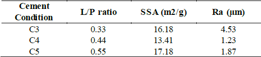 CPC specific surface area (BET theory) and rugosity (Ra).