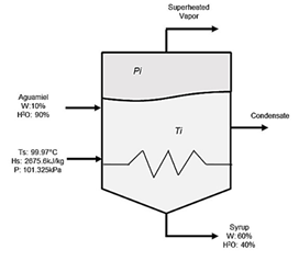 Simple effect evaporator designed for the artisanal production of agave syrup.