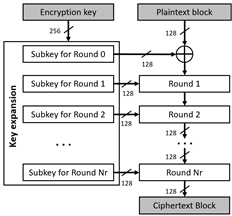 Structure of AES algorithm.
