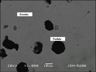 Microstructure of ductile iron in its initial state. The presence of ferrite and graphite nodules can be distinguished. SEM with BSE at 1000X.