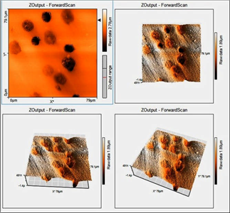 AFM microstructure of ductile iron in its initial state, in which the presence of a ferrite matrix (clear fields) and protruding graphite nodules (more intensely colored fields) can be distinguished.