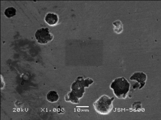 Micrograph of the surface of the ductile iron after the plasma nitriding treatment A halo can be observed around the graphite nodules. SEM. BSE. 1000 X.