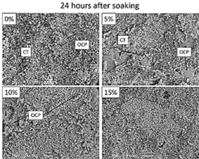 SEM morphology of the surface of the sintered samples after 24 hours of immersion in Hank&rsquo;s solution.