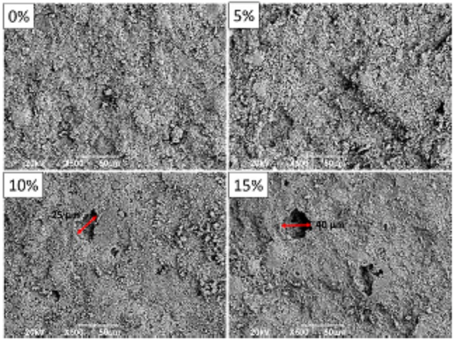 SEM morphology of the surface of the sintered samples.
