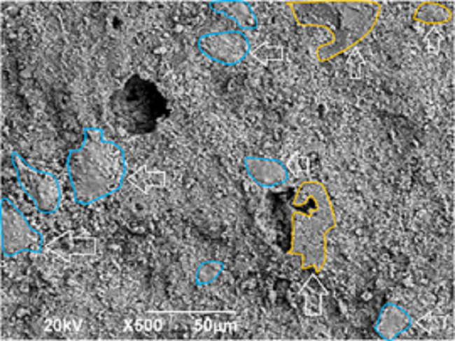 Micrograph of the 15%MS sample surface showing the phase distribution: zones with vertical arrows correspond to CT enriched zones, and zones with horizontal arrows correspond to CP enriched zones in the alumina matrix.