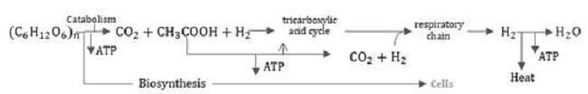 General approach of reactions in the decomposition of waste and aerobic digestion.
