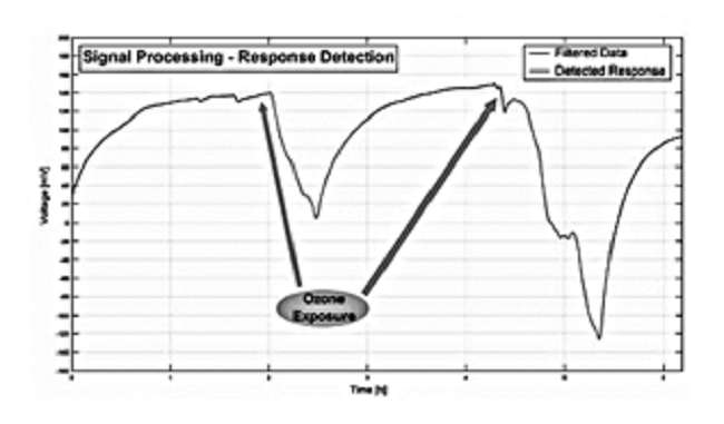 Response of the ligustrum plant signal to ozone exposure