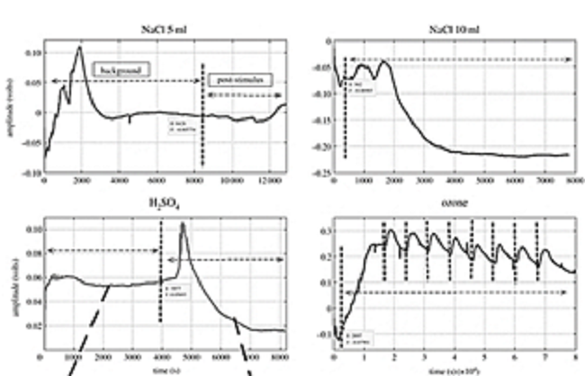 Plant response upon 3 stimuli, vertical dotted lines mark indicates the application of stimulus.