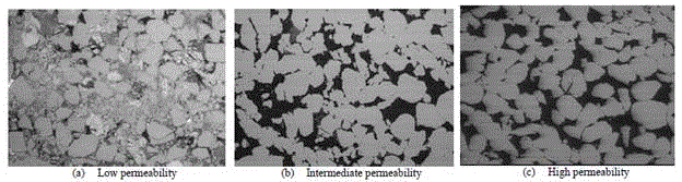 Morphology and composition of the porous media used. 