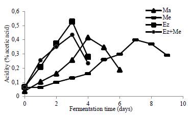 Internal acidity profile of the seed during the fermentation of copoazu.