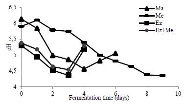 Internal pH profile of the seed during the fermentation of copoazu.