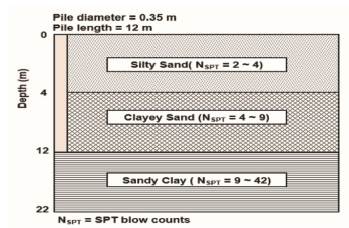 Soil profile at Site C (test pile P5).