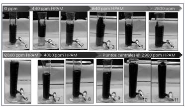 Emulsiones crudo-solución polimérica en los diferentes puntos del diseño experimental, 3 horas después del proceso de agitación con Ultra Turrax.