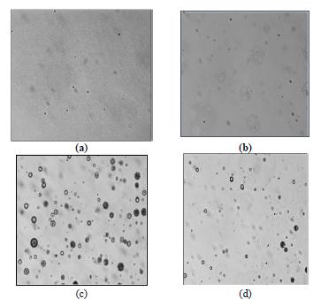 Micrografia O/W. (a) Blanco @ 0 ppm de polímero (b) 640 ppm de polímero (c) 2900 ppm polímero (d) 4000 ppm polímero 