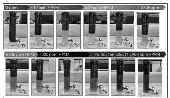 Emulsiones crudo-solución polimérica en los 11 puntos del diseño experimental, en presencia de desemulsificante - 24 horas después del proceso de agitación con Ultra Turrax 