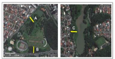 Plot locations (A, B and C) in the Botanical Garden and S&atilde;o Louren&ccedil;o Park, Curitiba, Paran&aacute;.