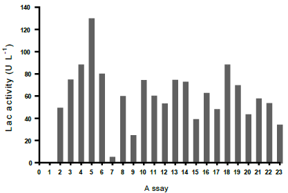 Lac activity from Leptosphaerulina sp. at 28 &deg;C, 200 rpm, t= 15 days.