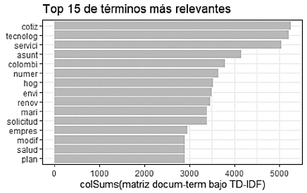 Top 10 de expresiones (previa limpieza de datos) m&aacute;s relevantes de la descripci&oacute;n del incidente