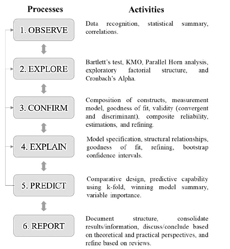 Summary of the processes used for mining psychological/managerial constructs