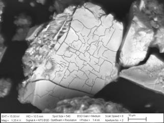 SEM images from the leaching residue of the T80 = 72 µm particle size concentrate pre-treated with 15% of HCl.